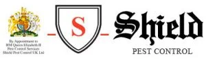 Shield social media management and Google ads